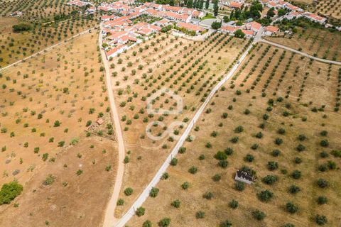 Helårsgrund i Portel, Evora, Portel - € 280.000 | Ref: 318/T/03392 - foto 17