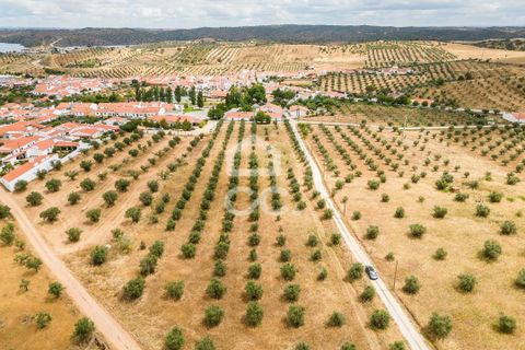 Helårsgrund i Portel, Evora, Portel - € 280.000 | Ref: 318/T/03392 - foto 20