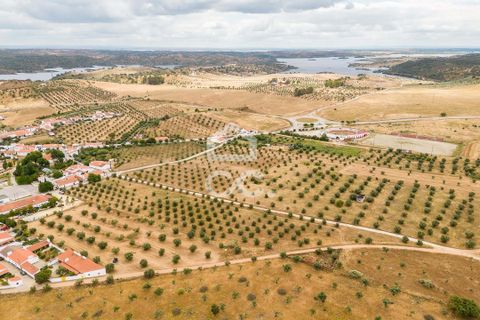 Helårsgrund i Portel, Evora, Portel - € 280.000 | Ref: 318/T/03392 - foto 21