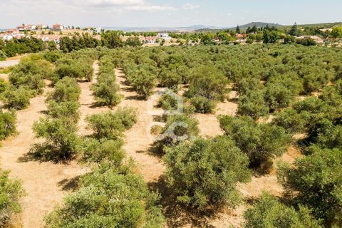 Helårsgrund i Elvas, Portalegre, Elvas - € 167.600 | Ref: 318/T/03411 - foto 2