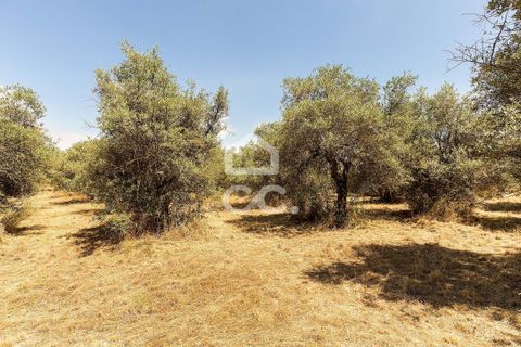 Helårsgrund i Elvas, Portalegre, Elvas - € 167.600 | Ref: 318/T/03411 - foto 7