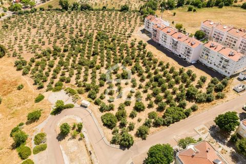 Helårsgrund i Elvas, Portalegre, Elvas - € 167.600 | Ref: 318/T/03411 - foto 9