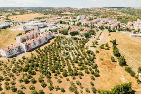 Helårsgrund i Elvas, Portalegre, Elvas - € 167.600 | Ref: 318/T/03411 - foto 11