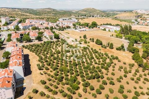 Helårsgrund i Elvas, Portalegre, Elvas - € 167.600 | Ref: 318/T/03411 - foto 12