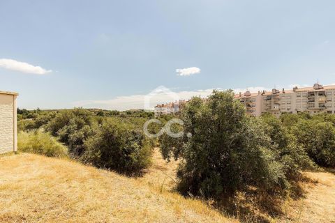 Helårsgrund i Elvas, Portalegre, Elvas - € 167.600 | Ref: 318/T/03411 - foto 14