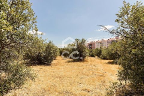Helårsgrund i Elvas, Portalegre, Elvas - € 167.600 | Ref: 318/T/03411 - foto 16