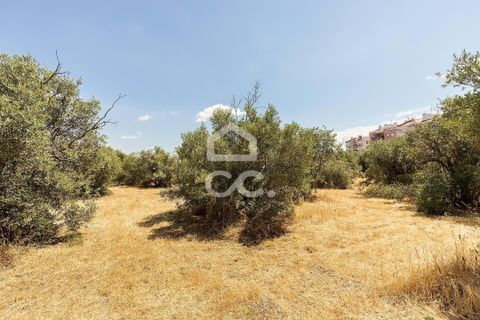 Helårsgrund i Elvas, Portalegre, Elvas - € 167.600 | Ref: 318/T/03411 - foto 17