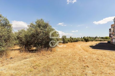 Helårsgrund i Elvas, Portalegre, Elvas - € 167.600 | Ref: 318/T/03411 - foto 18