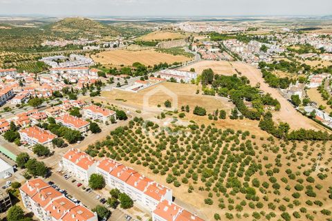 Helårsgrund i Elvas, Portalegre, Elvas - € 167.600 | Ref: 318/T/03411 - foto 19