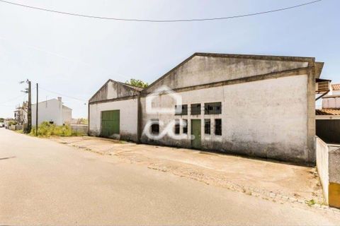 Erhvervsejendom i Evora, Evora, Evora - € 450.000 | Ref: 318/T/03482 - foto 2