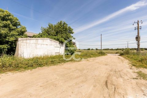 Erhvervsejendom i Evora, Evora, Evora - € 450.000 | Ref: 318/T/03482 - foto 7