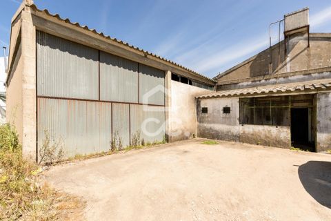 Erhvervsejendom i Evora, Evora, Evora - € 450.000 | Ref: 318/T/03482 - foto 8