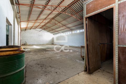 Erhvervsejendom i Evora, Evora, Evora - € 450.000 | Ref: 318/T/03482 - foto 13