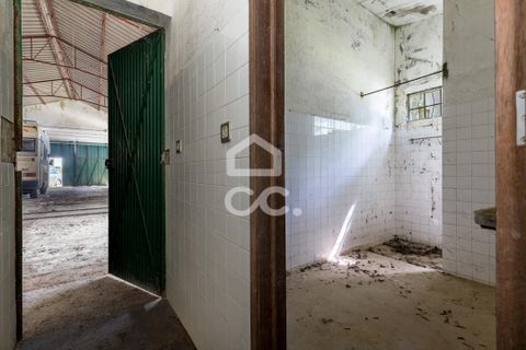 Erhvervsejendom i Evora, Evora, Evora - € 450.000 | Ref: 318/T/03482 - foto 16