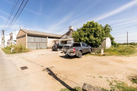 Erhvervsejendom i Evora, Evora, Evora - € 450.000 | Ref: 318/T/03482 - foto 17