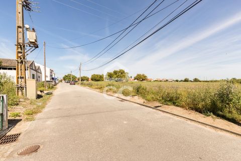 Erhvervsejendom i Evora, Evora, Evora - € 450.000 | Ref: 318/T/03482 - foto 21