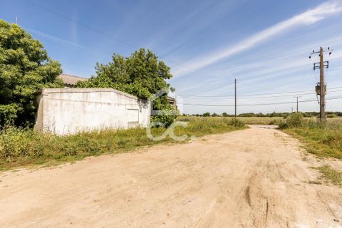 Helårsgrund i Evora, Evora, Evora - € 300.000 | Ref: 318/T/03483 - foto 9