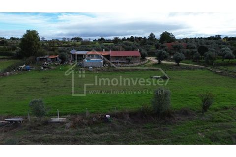 Farm i Castelo Branco, Castelo Branco, Castelo Branco - € 199.000 | Ref: QUI_1083 - foto 18