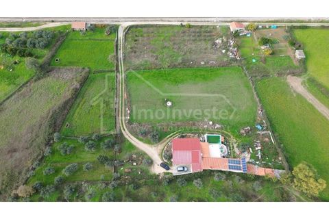 Farm i Castelo Branco, Castelo Branco, Castelo Branco - € 199.000 | Ref: QUI_1083 - foto 19