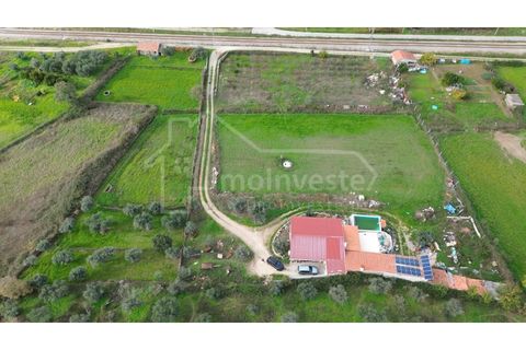 Farm i Castelo Branco, Castelo Branco, Castelo Branco - € 199.000 | Ref: QUI_1083 - foto 21
