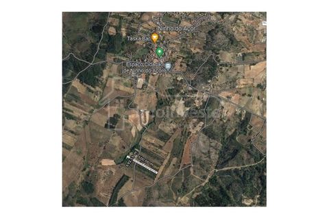Terra a Ninho do Acor, Castelo Branco, Ninho do Acor - € 7.000 | Ref: SÒL_857 - foto 2