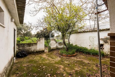 Villa a Portel, Evora, Portel - € 330.000 | Ref: 318/M/03519 - foto 25