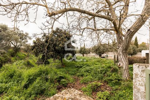 Villa a Portel, Evora, Portel - € 330.000 | Ref: 318/M/03519 - foto 26