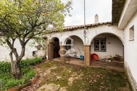 Villa a Portel, Evora, Portel - € 330.000 | Ref: 318/M/03519 - foto 5