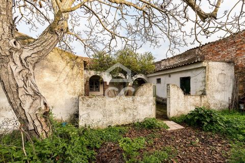 Villa a Portel, Evora, Portel - € 330.000 | Ref: 318/M/03519 - foto 27
