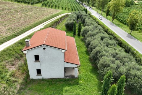 Villa i Cinto Euganeo, Padua, Cinto Euganeo - € 225.000 | Ref: S321 - foto 3