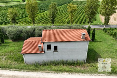 Villa i Cinto Euganeo, Padua, Cinto Euganeo - € 225.000 | Ref: S321 - foto 4