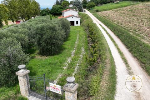 Villa i Cinto Euganeo, Padua, Cinto Euganeo - € 225.000 | Ref: S321 - foto 5