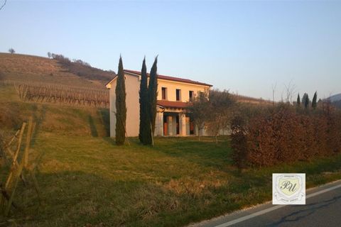 Villa i Cinto Euganeo, Padua, Cinto Euganeo - € 225.000 | Ref: S321 - foto 6