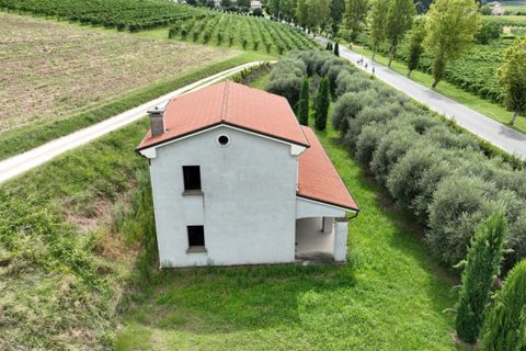 Villa i Cinto Euganeo, Padua, Cinto Euganeo - € 225.000 | Ref: S321 - foto 7