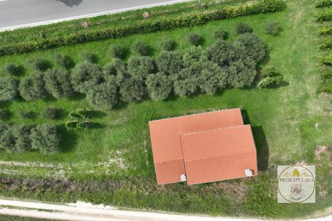 Villa i Cinto Euganeo, Padua, Cinto Euganeo - € 225.000 | Ref: S321 - foto 8