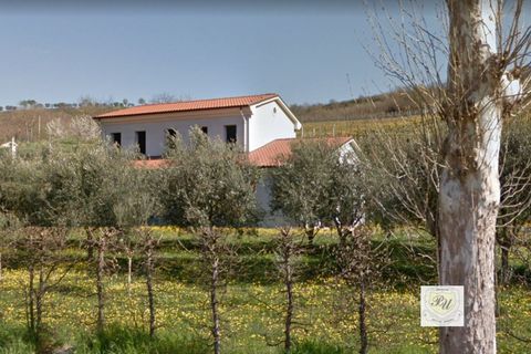 Villa i Cinto Euganeo, Padua, Cinto Euganeo - € 225.000 | Ref: S321 - foto 9