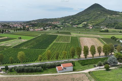 Villa i Cinto Euganeo, Padua, Cinto Euganeo - € 225.000 | Ref: S321 - foto 10