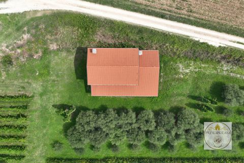 Villa i Cinto Euganeo, Padua, Cinto Euganeo - € 225.000 | Ref: S321 - foto 11