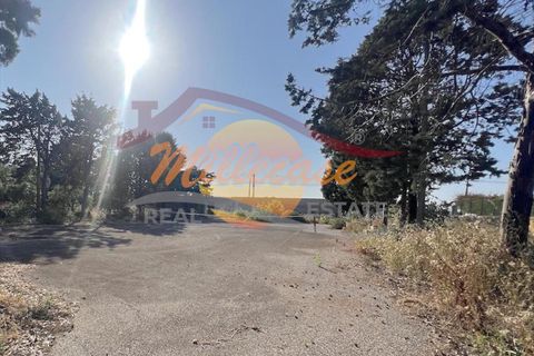 Villa i Siracusa, Siracusa, Siracusa - € 630.000 | Ref: RIF2112/630TERRAUZZA - foto 9