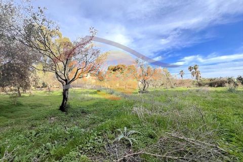 Villa i Siracusa, Siracusa, Siracusa - € 630.000 | Ref: RIF2112/630TERRAUZZA - foto 24