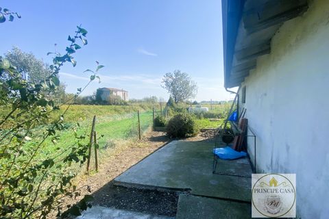 Villa i Agna, Padua, Agna - € 100.000 | Ref: HSA002 - foto 16