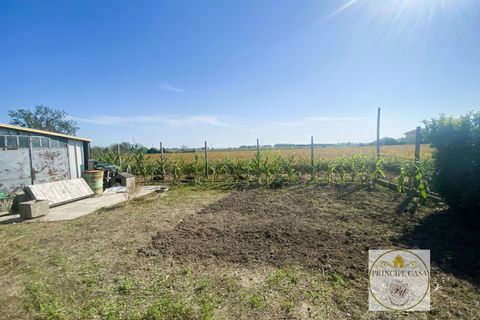 Villa i Agna, Padua, Agna - € 100.000 | Ref: HSA002 - foto 31