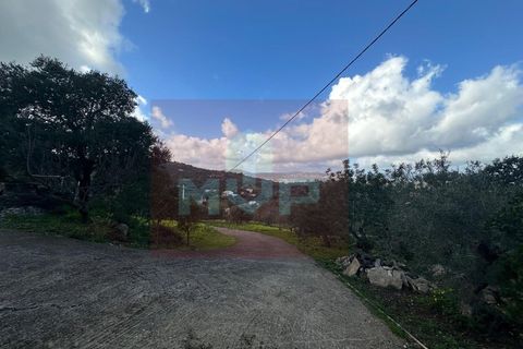 Villa i Estoi, Faro, Estoi - € 439.000 | Ref: 165250003 - foto 25