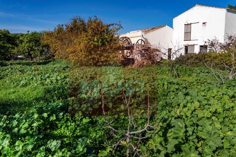 Landejendom i Tavira, Faro, Tavira - € 690.000 | Ref: 170240158 - foto 4