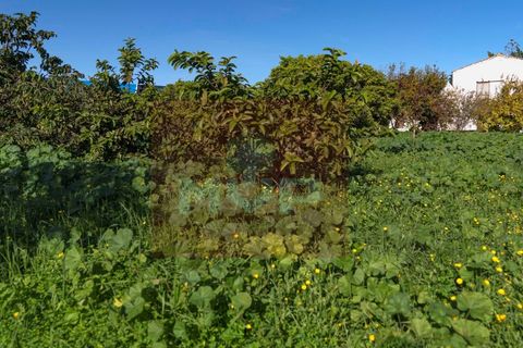 Landejendom i Tavira, Faro, Tavira - € 690.000 | Ref: 170240158 - foto 5