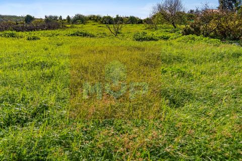 Landejendom i Tavira, Faro, Tavira - € 690.000 | Ref: 170240158 - foto 12