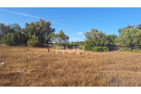 Helårsgrund i Estoi, Faro, Estoi - € 270.000 | Ref: 170240114 - foto 6