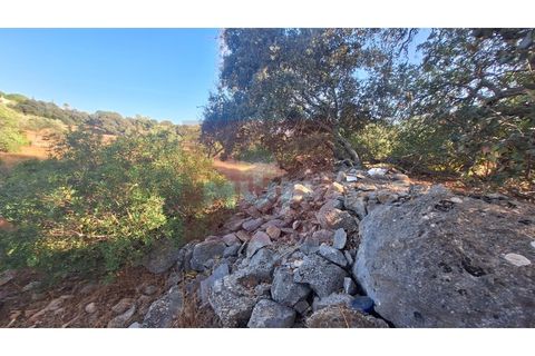 Helårsgrund i Estoi, Faro, Estoi - € 270.000 | Ref: 170240114 - foto 8