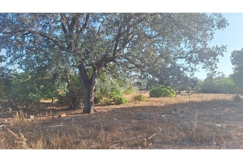 Helårsgrund i Estoi, Faro, Estoi - € 270.000 | Ref: 170240114 - foto 10