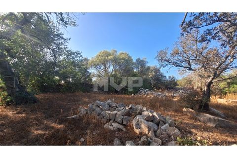Helårsgrund i Estoi, Faro, Estoi - € 270.000 | Ref: 170240114 - foto 12